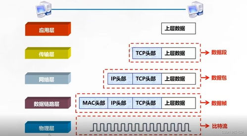 计算机网络参考模型与网络协议